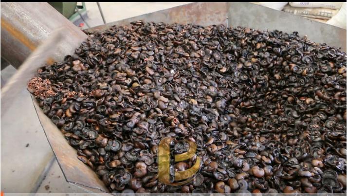 山核桃壳午夜成人在线观看,使果壳资源得到充分利用